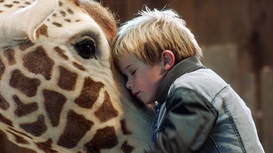 "Mein Freund, die Giraffe", Quelle: 68. Internationale Filmfestspiele Berlin (Katalog), © Lemming Film, Viktor Arnolds