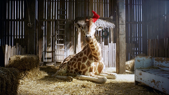 "Mein Freund, die Giraffe", Quelle: Little Dream Entertainment, DIF