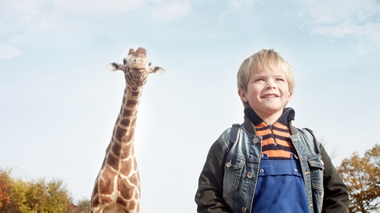 "Mein Freund, die Giraffe", Quelle: Little Dream Entertainment, DIF
