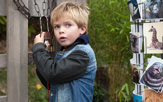 "Mein Freund, die Giraffe", Quelle: Little Dream Entertainment, DIF