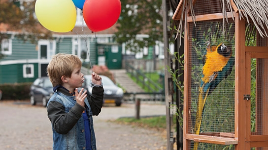"Mein Freund, die Giraffe", Quelle: Little Dream Entertainment, DIF