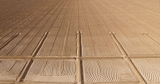 "Imperial Valley (Cultivated Run-Off)", Quelle: 68. Internationale Filmfestspiele Berlin (Katalog)
