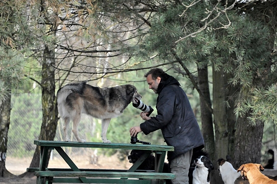 "Citizen Animal – Eine kleine Familie reist zu den Tieren", Quelle: JIP Film und Verleih, DIF, © JIP Film und Verleih, Foto: Tatjana Kühr