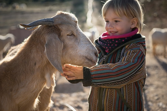 "Citizen Animal – Eine kleine Familie reist zu den Tieren", Quelle: JIP Film und Verleih, DIF, © JIP Film und Verleih, Foto: Tatjana Kühr
