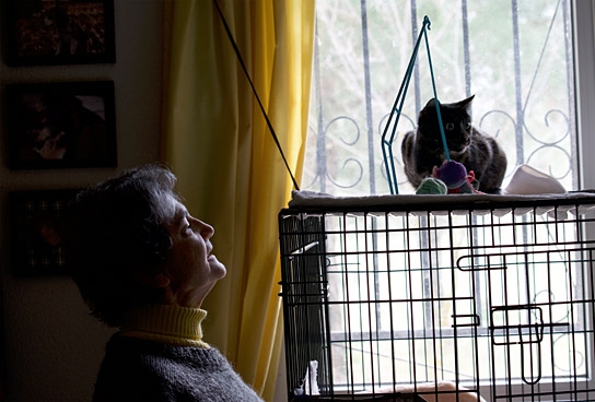 "Citizen Animal – Eine kleine Familie reist zu den Tieren", Quelle: JIP Film und Verleih, DIF, © JIP Film und Verleih, Foto: Tatjana Kühr