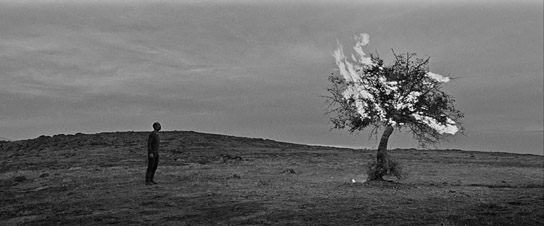 "Grain", Quelle: Piffl Medien, DIF © Kaplan Film
