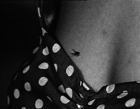 "Ching Ling, die Fliege", Quelle: Michael Blume, © Micha-Blume-Filmproduktion