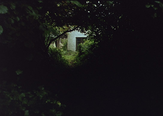 "Aus einem Jahr der Nichtereignisse", Quelle: Steppenwolf, DIF, © Joon Film