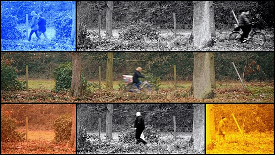 "mondriaTIOn", Quelle: Werner Biedermann, © Werner Biedermann