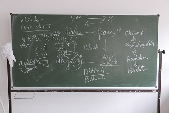 "Elternschule", Quelle: Zorro Filmverleih, DIF