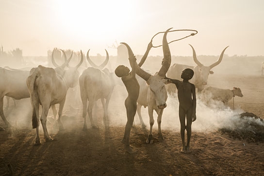 "An den Rändern der Welt", Quelle: Filmtank Audience, DIF, © Greenpeace, Markus Mauthe