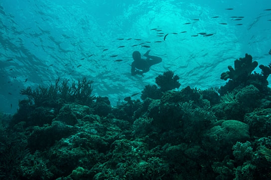 "An den Rändern der Welt", Quelle: Filmtank Audience, DIF, © Greenpeace, Markus Mauthe