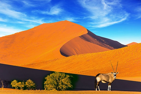 "Namibia", Quelle: imFilm Agentur + Verleih, DIF, © 2009 Michael Scharl