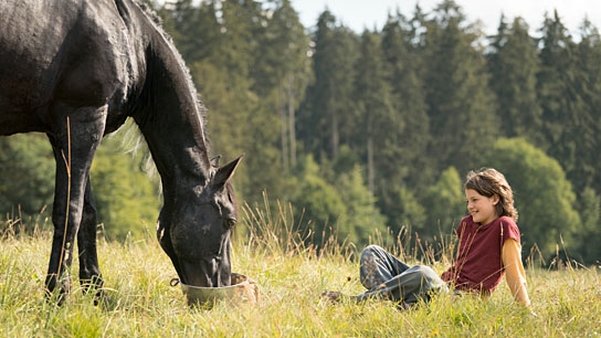 "Ostwind - Aris Ankunft", Quelle: Constantin Film Verleih, DIF, © 2019 Constantin Film Verleih GmbH, SamFilm GmbH, Marc Reimann