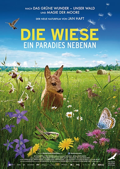 "Die Wiese - Ein Paradies nebenan", Quelle: polyband Medien, DIF