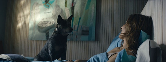 "Los Perros", Quelle: Cine Global Filmverleih, DIF, © Cinema Defacto, Jirafa Films, Rei Cine, Terratreme Filmes, augenschein Filmproduktion