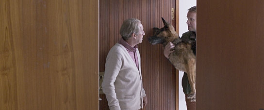 "Under the Tree", Quelle: Farbfilm Verleih, DIF, © Netop Films