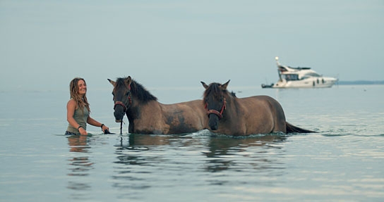 "Magie der Wildpferde", Quelle: Koryphäen Film, DIF, © catamaranfilms