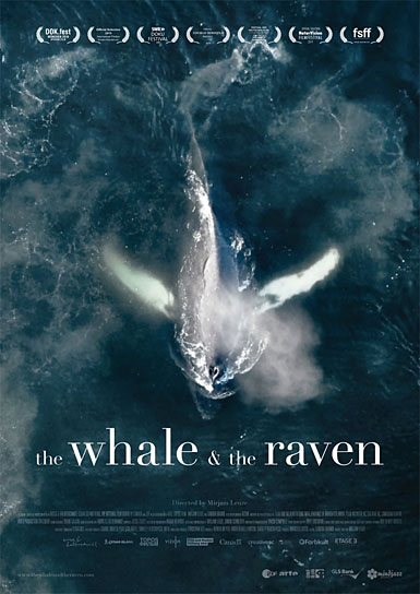 Filmplakat von "The Whale & the Raven" (2019); Quelle: Mindjazz Pictures, DFF