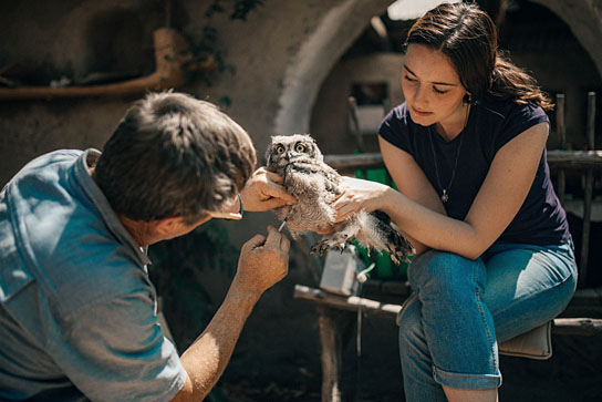 Simon Thomsett, Maria Ehrich in "Leaving the Frame" (2019); Quelle: Koryphäen Film, DFF, © Saudade Film