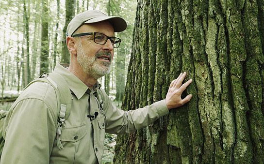 Peter Wohlleben in "Das geheime Leben der Bäume" (2019); Quelle: Constantin Film Verleih, DFF, © 2019 Constantin Film Verleih GmbH, Jörg Adolph
