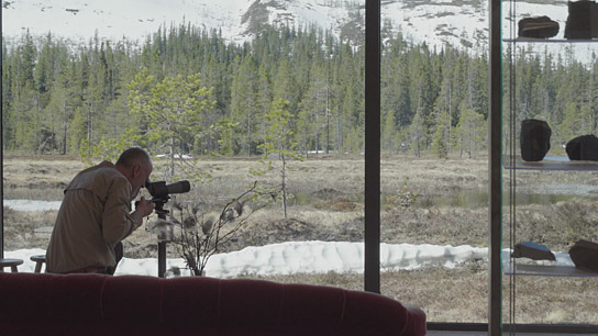 Peter Wohlleben in "Das geheime Leben der Bäume" (2019); Quelle: Constantin Film Verleih, DFF, © 2019 Constantin Film Verleih GmbH, Daniel Schönauer