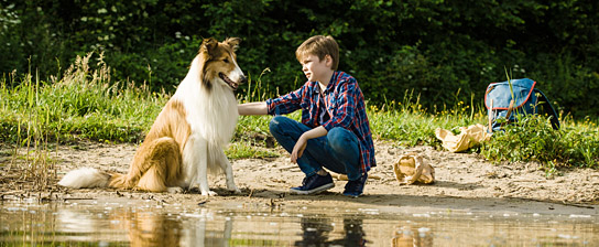 Nico Marischka in "Lassie - Eine abenteuerliche Reise" (2020); Quelle: Warner Bros. Pictures Germany, DFF, © 2019 Tom Trambow, Warner Bros. Ent.