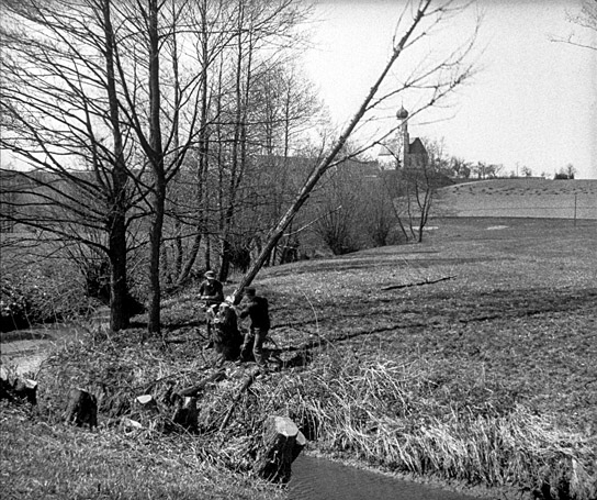 "Natur in Gefahr!" (1952); Quelle: DFF, Marian Stefanowski