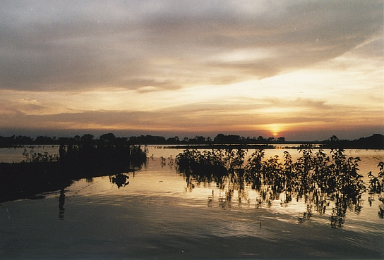 "Sand und Wasser" (2002); Quelle: Shaheen Dill-Riaz, © Shaheen Dill-Riaz
