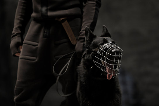 "Die Rüden" (2019); Quelle: Real Fiction Filmverleih, DFF, © 2017 Tom Trambow