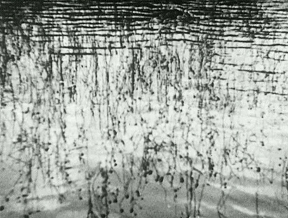 "Fischfang in der Rhön (an der Sinn)" (1932); Quelle: DFF, © Sünke Michel