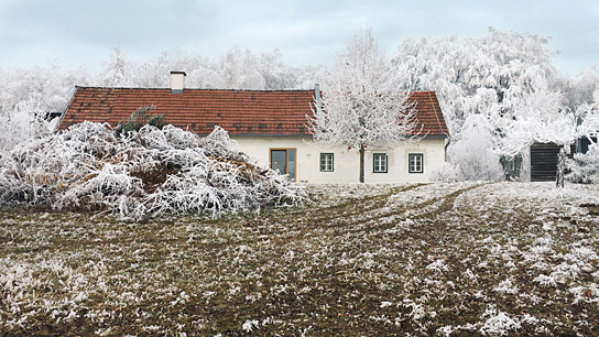 "Szenen meiner Ehe" (2019); Quelle: Real Fiction Filmverleih, DFF, © Öfilm Dörr & Schlösser GmbH