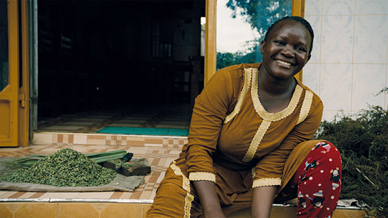 "Das Fieber - Der Kampf gegen Malaria" (2019); Quelle: W-film, DFF, © W-film, pooldoks