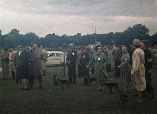 Screenshot aus "Allerlei Dresden" (1960); Quelle: SLUB Dresden, © SLUB Dresden, Filmverband Sachsen (Dresden), Hirsch Film (Dresden)