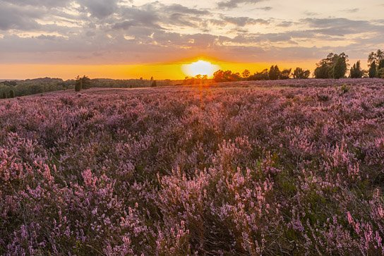 "Heimat Natur" (2020); Quelle: polyband Medien, DFF, © nautilusfilm, polyband Medien GmbH, Sailer Images