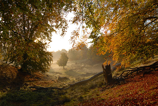 "Heimat Natur" (2020); Quelle: polyband Medien, DFF, © nautilusfilm, polyband Medien GmbH