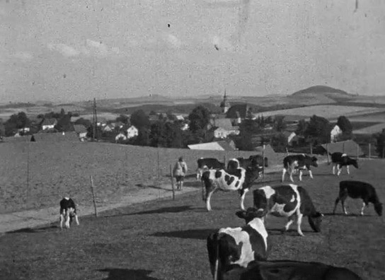 Screenshot aus "Privatfilm Erich Krah" (1936?); Quelle: SLUB Dresden, © SLUB Dresden, Filmverband Sachsen (Dresden), Hirsch Film (Dresden)