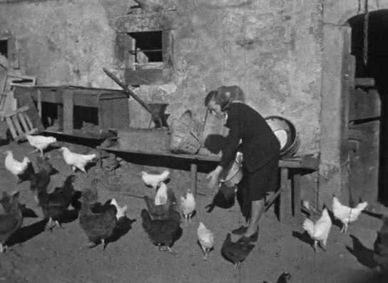 Screenshot aus "Privatfilm Erich Krah" (1936?); Quelle: SLUB Dresden, © SLUB Dresden, Filmverband Sachsen (Dresden), Hirsch Film (Dresden)