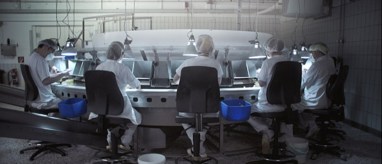 "Land" (2021); Quelle: Real Fiction Filmverleih, DFF