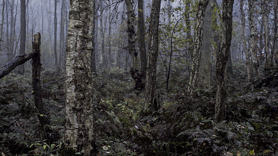"Freistaat Mittelpunkt" (2019); Quelle: Kai Ehlers Film, DFF, © Kai Ehlers