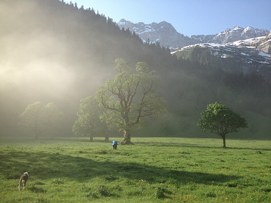 "Tagebuch einer Biene" (2020); Quelle: Filmwelt Verleihagentur, DFF, © Miriam Zimmermann