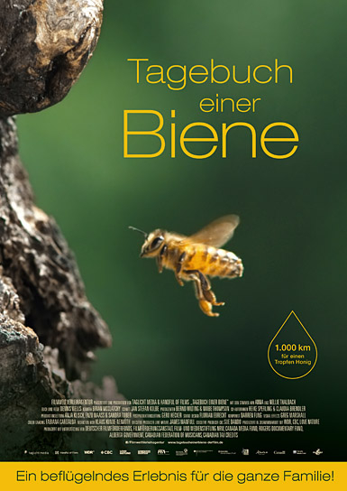 Filmplakat von "Tagebuch einer Biene" (2020); Quelle: Filmwelt Verleihagentur, DFF