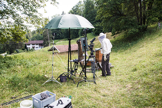 Bei den Dreharbeiten zu "Tagebuch einer Biene" (2020); Quelle: Filmwelt Verleihagentur, DFF, © Miriam Zimmermann