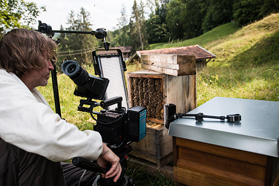 Brian McClatchy bei den Dreharbeiten zu "Tagebuch einer Biene" (2020); Quelle: Filmwelt Verleihagentur, DFF, © Miriam Zimmermann 