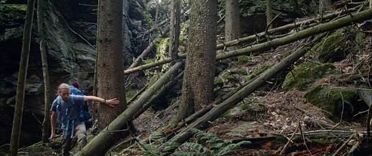 Bastian Kalous in "Der wilde Wald - Natur Natur sein lassen" (2021); Quelle: mindjazz pictures, DFF