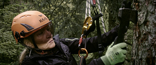 Diana Six in "Der wilde Wald - Natur Natur sein lassen" (2021); Quelle: mindjazz pictures, DFF