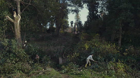 "Die Zähmung der Bäume - Taming the Garden" (2021); Quelle: Film Kino Text, DFF, © Mira Film, Corso Film, Sakdoc Film