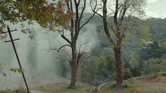 "Die Zähmung der Bäume - Taming the Garden" (2021); Quelle: Film Kino Text, DFF, © Mira Film, Corso Film, Sakdoc Film
