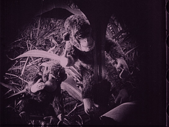 Screenshot aus "In den Dschungeln Afrikas" (1924); Quelle: DFF