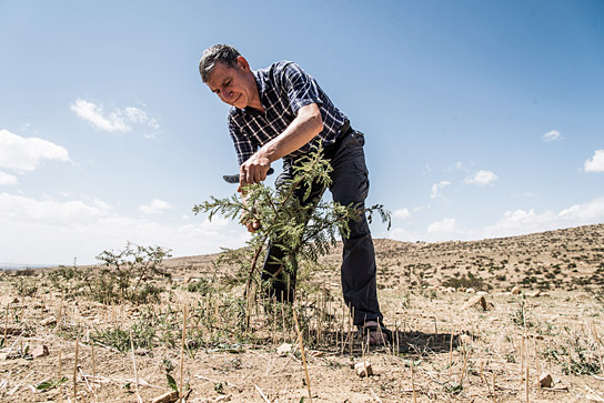 Tony Rinaudo in "Der Waldmacher" (2021), Quelle: Weltkino Filmverleih, DFF, © World Vision, Foto: Silas Koch
